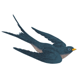 Bird-R250png