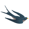 Bird-R250png